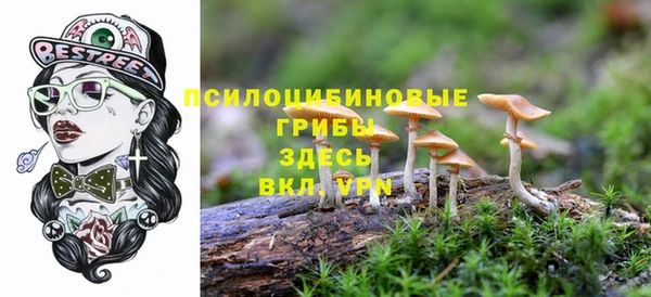 прущая мука Вязники