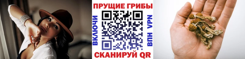 Псилоцибиновые грибы ЛСД  Тула 